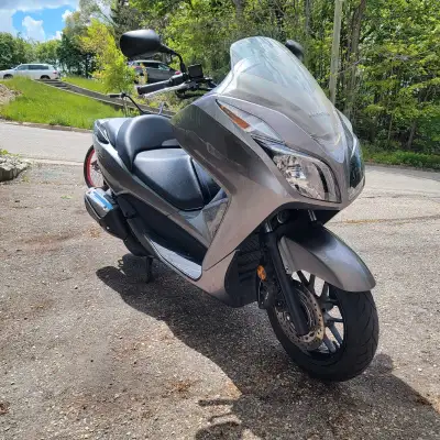 Very clean, never dropped, purrs like a kitten 300cc honda forza. $2800. As is firm.