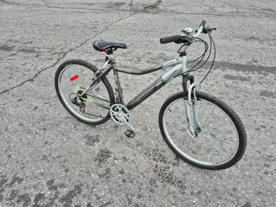 Infinity Huron tuned bicycle (18" frame), View more