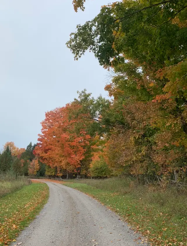 kawartha lakeside trailer sites & cabins  in Ontario in Canada - Image 4