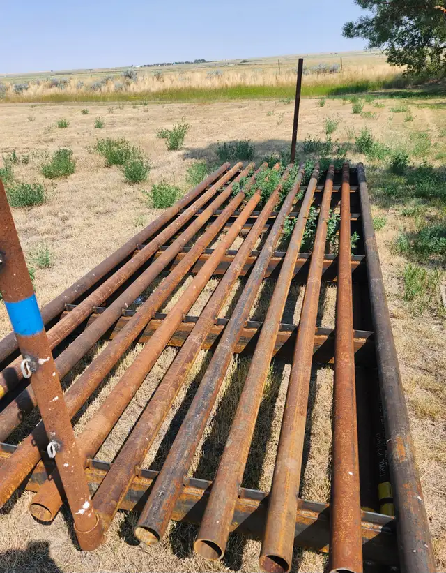 Livestock equipment&Fireskid Units in Equestrian & Livestock Accessories in Saskatoon - Image 9