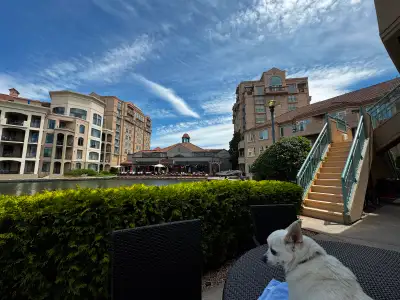 Luxury vacation Condos for rent at the Delta Grand Kelowna this, View more
