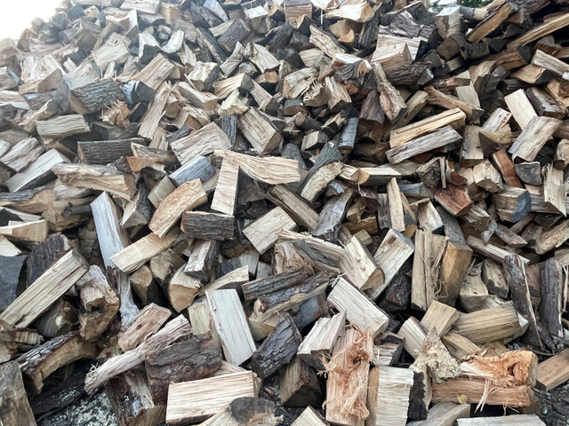 Firewood  in Other in Windsor Region - Image 2