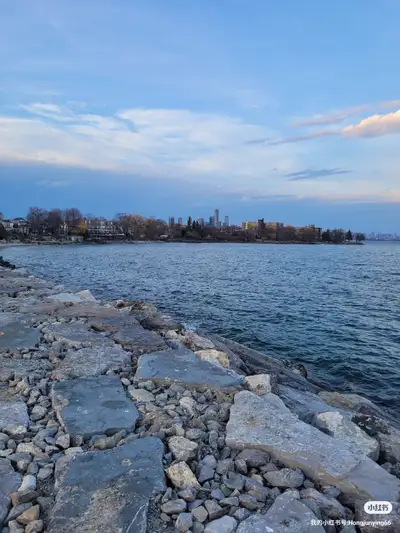New Toronto ,Ground floor, 3 bedroom, 2 Bathroom,. Close to the lake,Very nice neighbourhood, New Re...