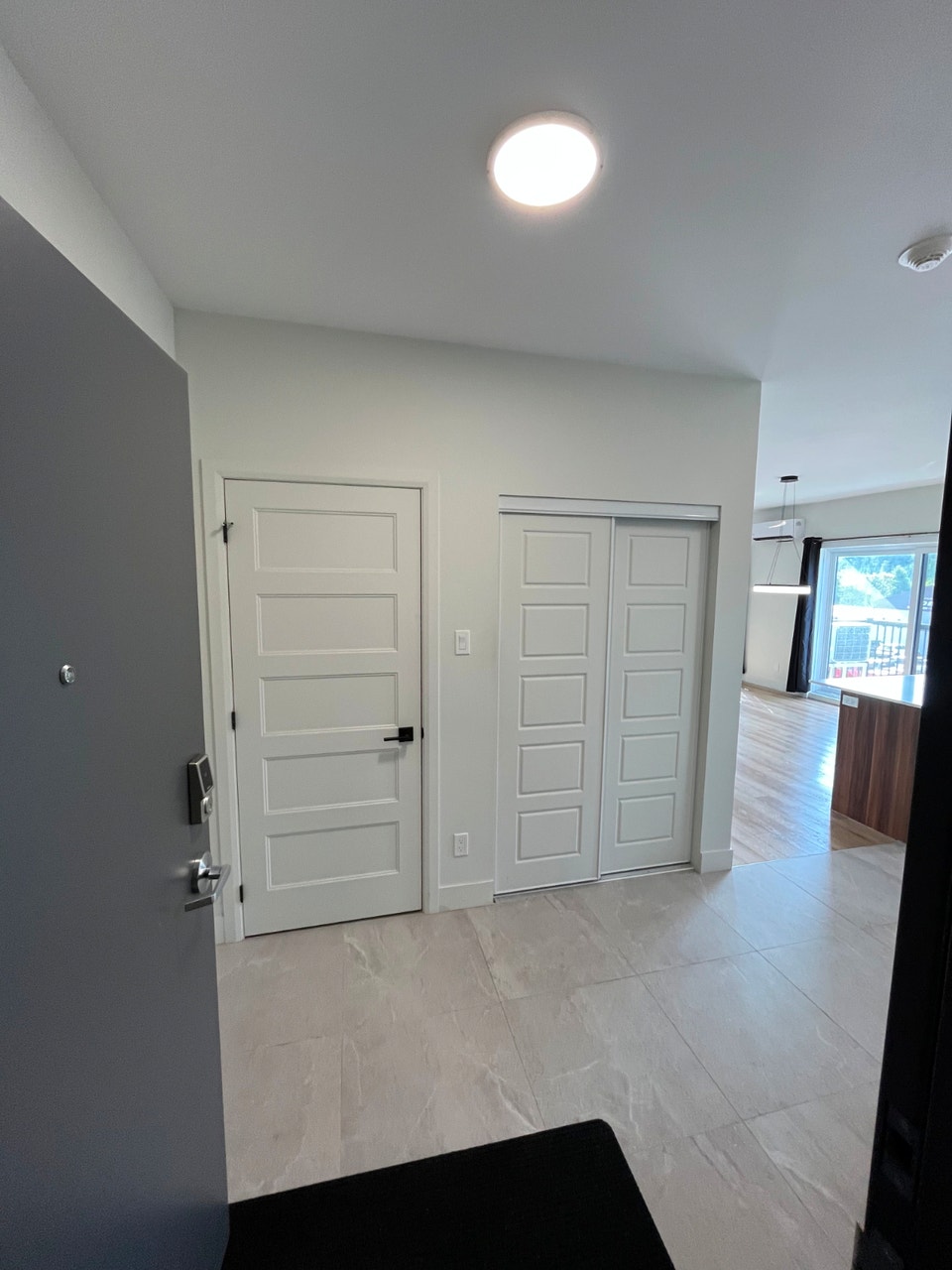 logement 4-1/2 neuf meublé 3
