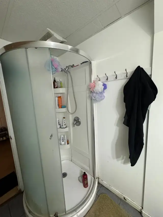 Basement room for rent  in Room Rentals & Roommates in Peterborough - Image 5