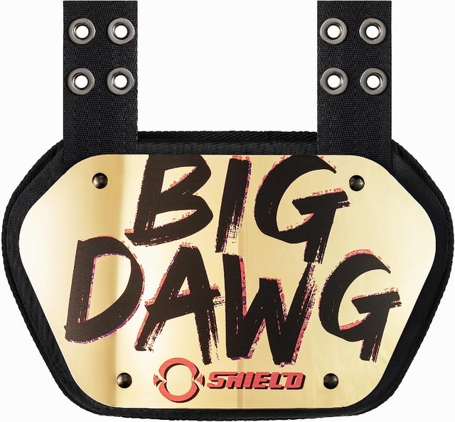 O Shield Big DAWG Golden Chrome Football Back Plate- Youth 180lb dans Football  à Ville de Montréal - Image 2