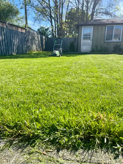 Lawn mowing / grass cutting, View more