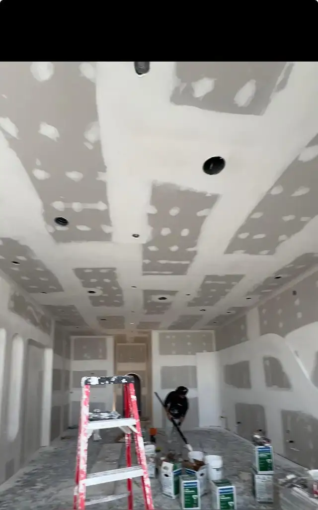 PROFESSIONAL DRYWALL, TAPING & RENOVATION SERVICES565170220565811201