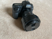 Canon ES 5D Mark II with Canon EF 24-105mm f/4L IS USM lens