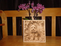 Yorkie - 3D Illusion Laser Engraved Wood Decor - Any Name