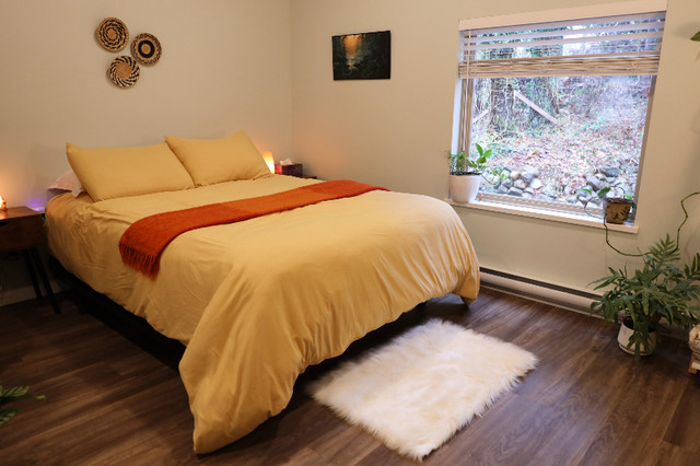 Bachelor Suite - Long Term Rental in Long Term Rentals in Campbell River - Image 4