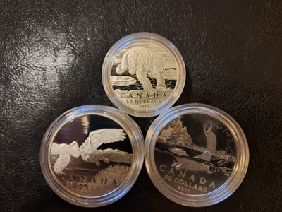 Royal Canadian Mint $50 silver 1/2 oz. 99.99% coins, View more