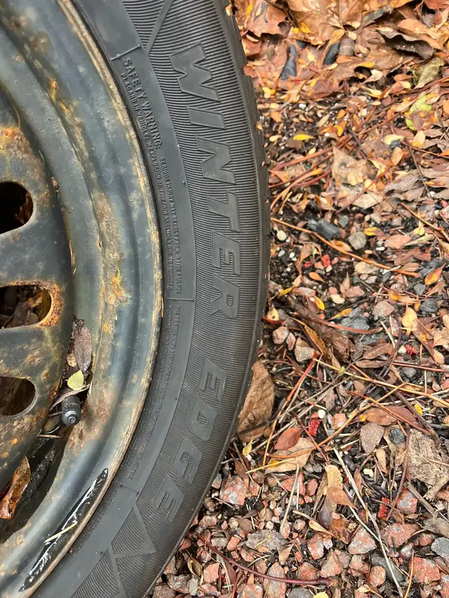 MotoMaster WinterEdge Snow Tires 205/55R15 in Tires & Rims in City of Halifax - Image 3