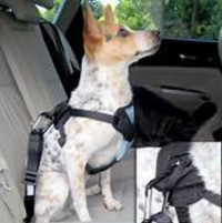 30$ -  Harnais pour Chien /Bergan Automobile Dog Travel Harness