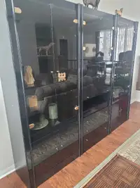 Display Cabinets with lighting 