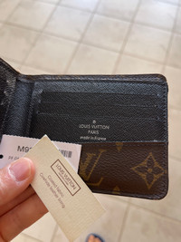 Louis Vuitton classic men wallet