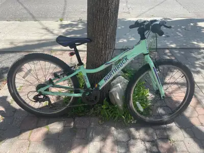 Northrock Mountain Bike (kids), View more