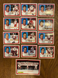 Lot of 14 1988-89 Panini Detroit Red Wings hockey stickers