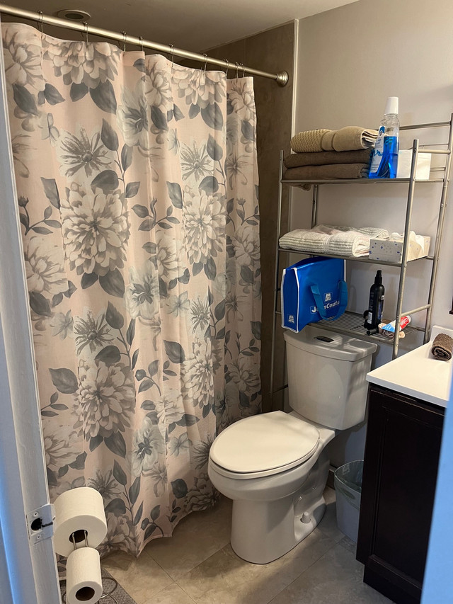2 bedroom 2 bathroom  in Florida - Image 2
