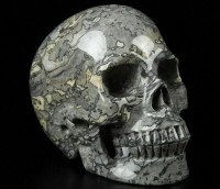 Huge 5" Crocodile Jasper Crystal Skull! Hand carved, realistic.