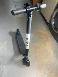 Official BIRD Electric Scooter 