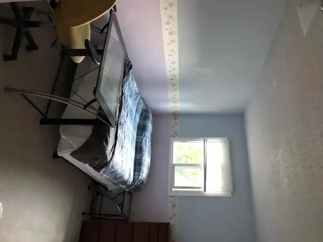 Room Near U of M Male