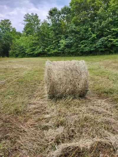 Round bales for sale , View more