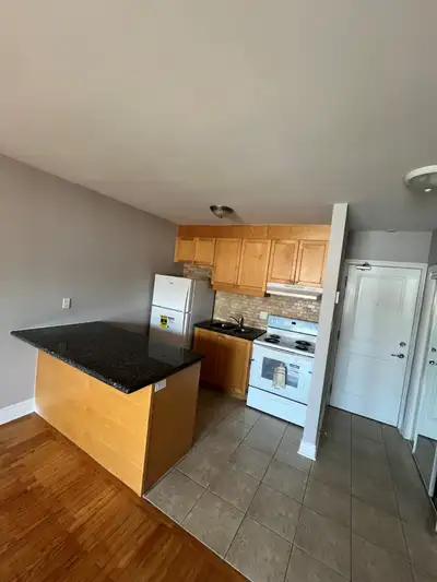 1 bedroom apartment available at Lakeshore, Etobicoke. Recently renovated apartment, A/C equipped. N...