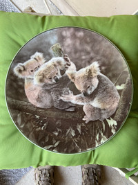 Royal Doulton Koala Plate