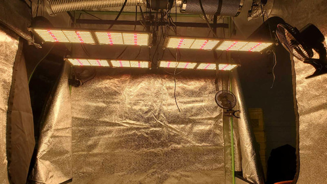 Led grow lights  in Plants, Fertilizer & Soil in Saskatoon