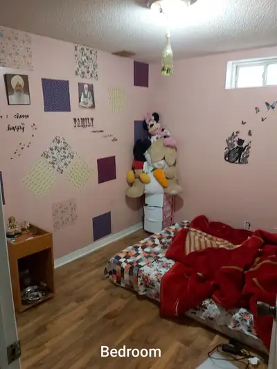1 BR Basement for rent in Brampton (Ray Lawson & McLaughlin)