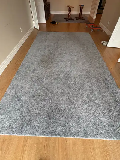 Free delivery used Grey Shag Area Rug, View more