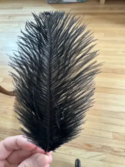 small fluffy black feathers, View more