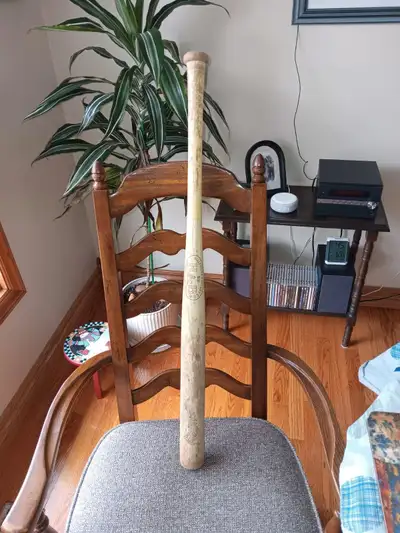 BASEBALL BAT, View more