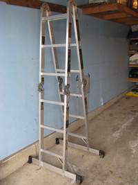 Multi-Position Multi-Task Ladder