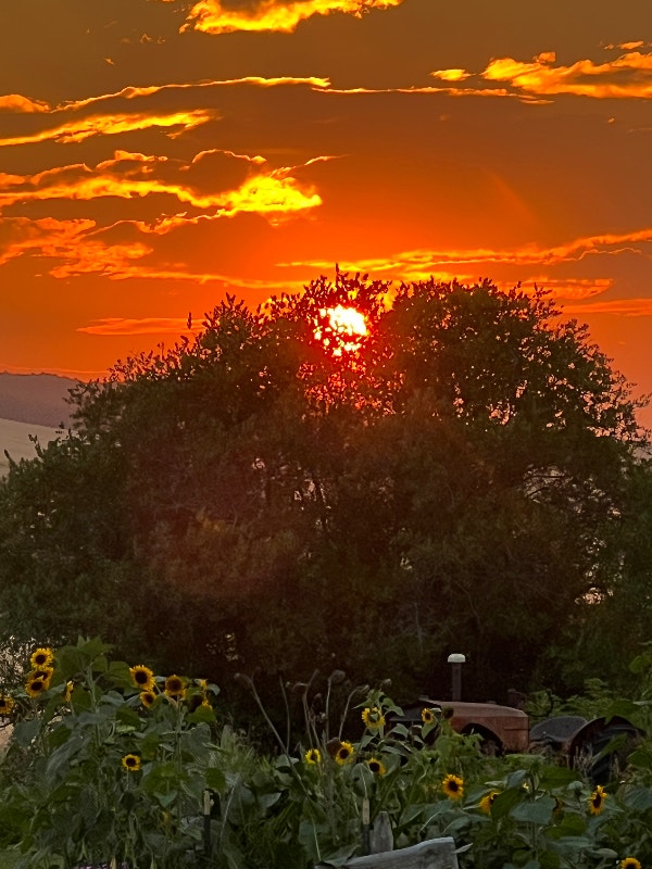 Acreage For Rent. Currently Listed with Remax MLS A2065398 Long Term