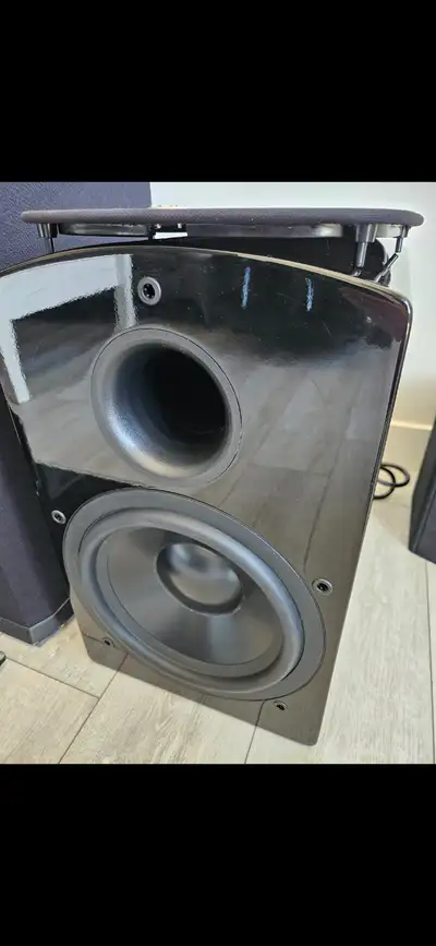 Very nice, smooth and musical bass, NHT is well known for their high quality, audiophile grade produ...