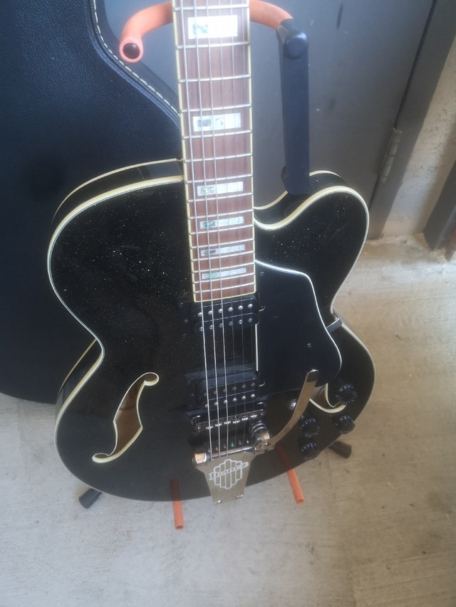 Ibanez black and gold hollowbody guitar Guitars Calgary Kijiji