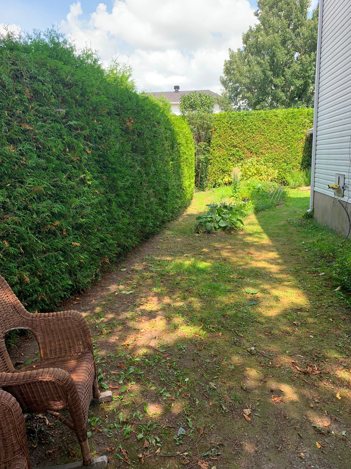 25 Rue Félix-Leclerc — photo 2
