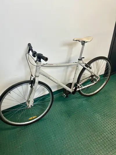 MEN SIZE LARGE RALEIGH HYBRID SINGLE SPEED CITY BIKE, View more