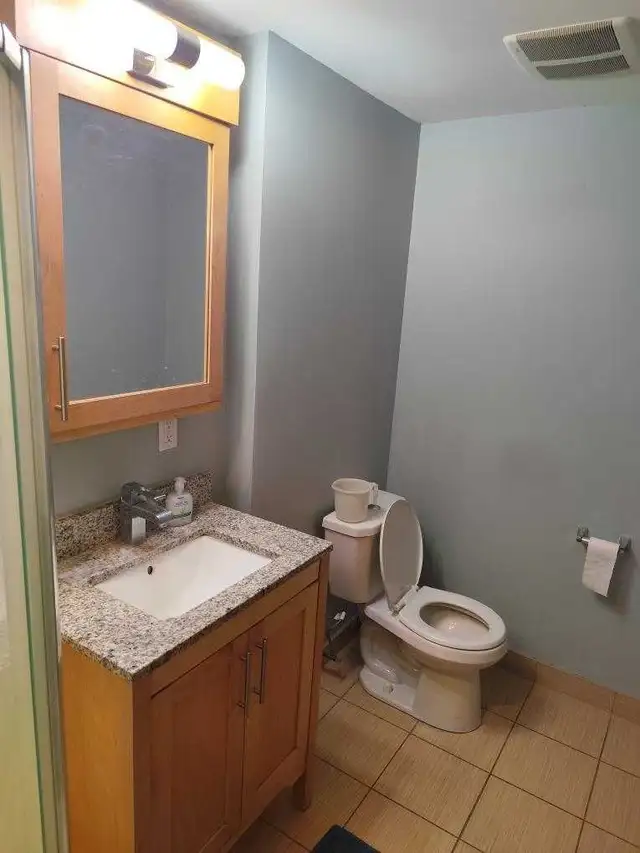 Private Room For Rent in Short Term Rentals in Kitchener / Waterloo - Image 11