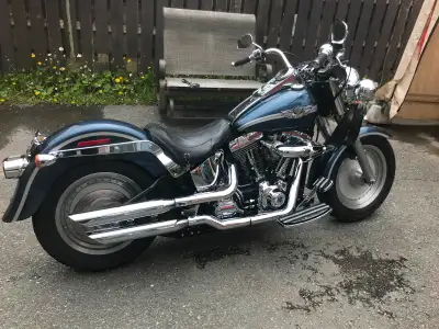 Fatboy. 100 anniversaire A1 rien a faire yé près. Beau son à carburateur.