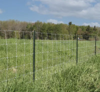 6.5 foot (2m) Y-Post (Like a T-Post) For Farm Fencing
