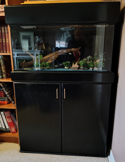 Black lacquer cabinet with flip top canopy. Housed a 30 Gallon Aquarium...........NOT INCLUDED This...
