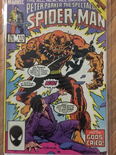 Spiderman -- Spectacular Spiderman comics 135 issues, View more