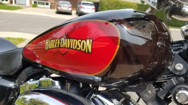 SPORTSTER 1200, 2010, 23000kms in Touring in Laval / North Shore - Image 4