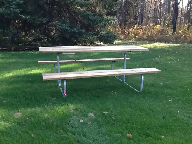 PICNIC TABLE497683101344092162