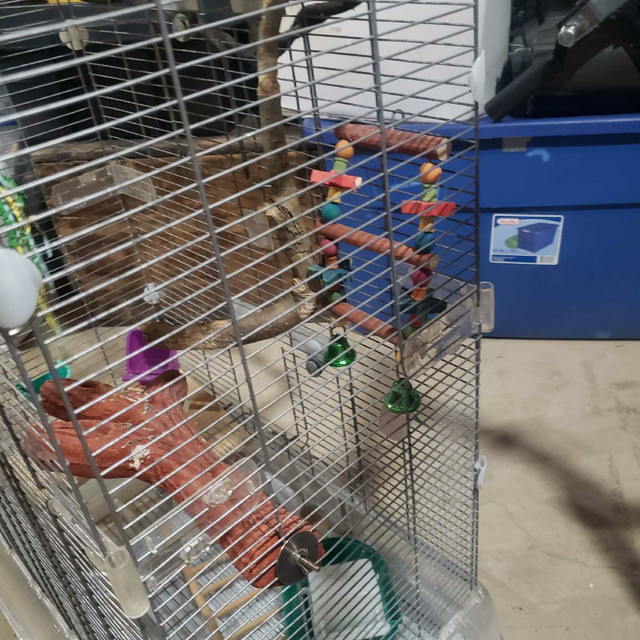 Large cage with toys in Other in Peterborough - Image 3