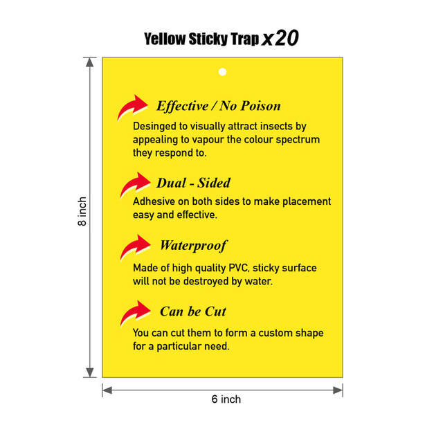Yellow Sticky Traps in Other in Oakville / Halton Region - Image 4