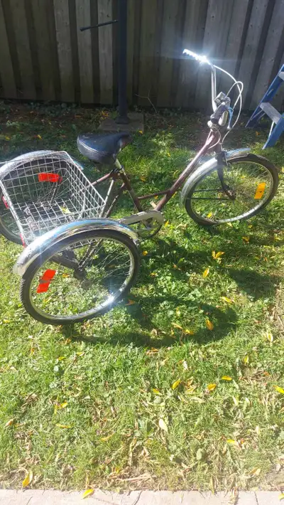 Adult tricycle. Rides alright, but could probably use some cleaning and maybe a tuneup.